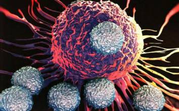 New Project 45 - Ανοσοθεραπεία: Η σύγχρονη στρατηγική καταπολέμησης του καρκίνου